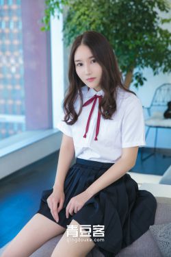 少年派电视剧完整版